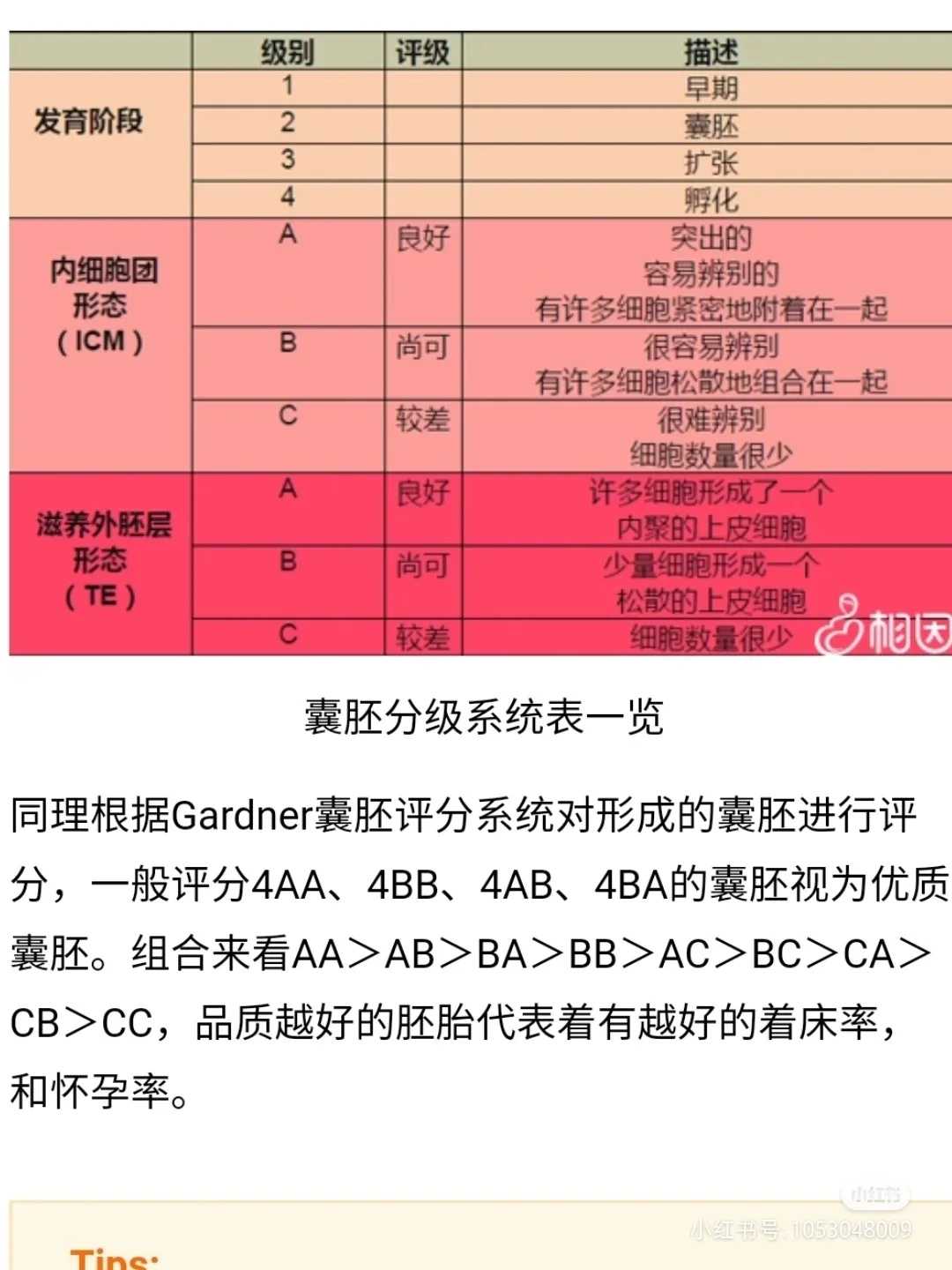 代怀生儿子好吗&代怀招代怀生女人,试管移植前能不能用阿达帕林凝胶，移植前停药三月以免影响成功率。