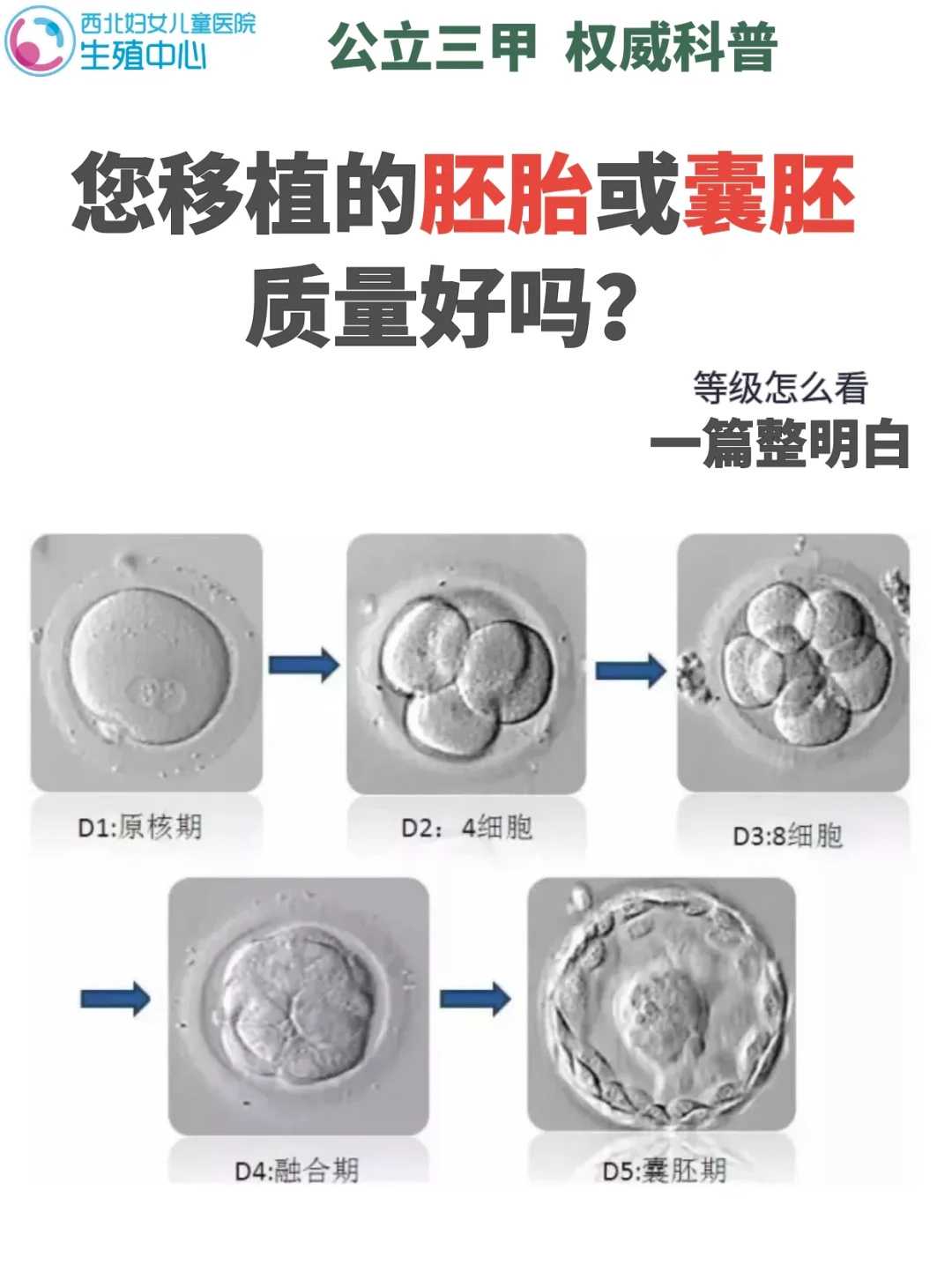沈阳代生在线咨询比较好的私立医院-代生在线咨询医院
